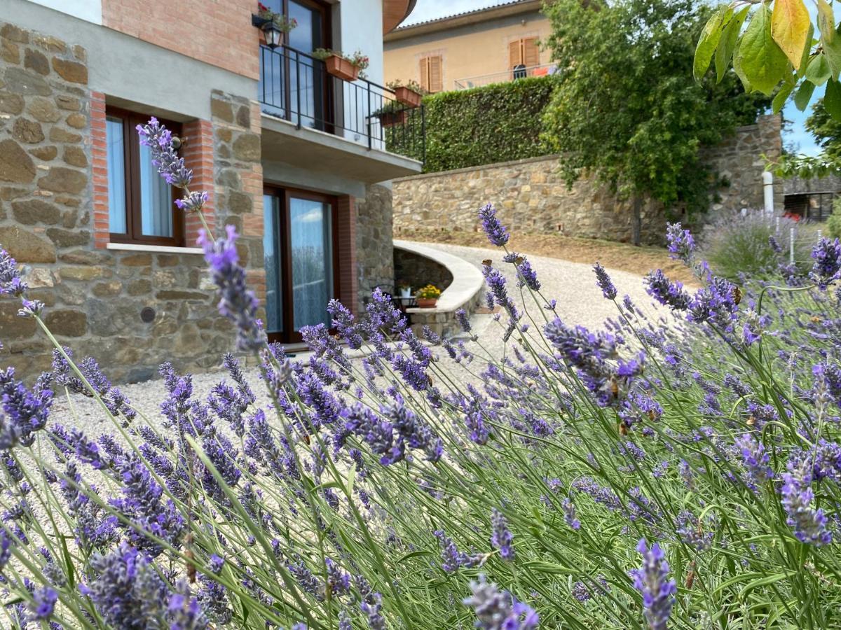 Podere Belsogno Montalcino Buitenkant foto